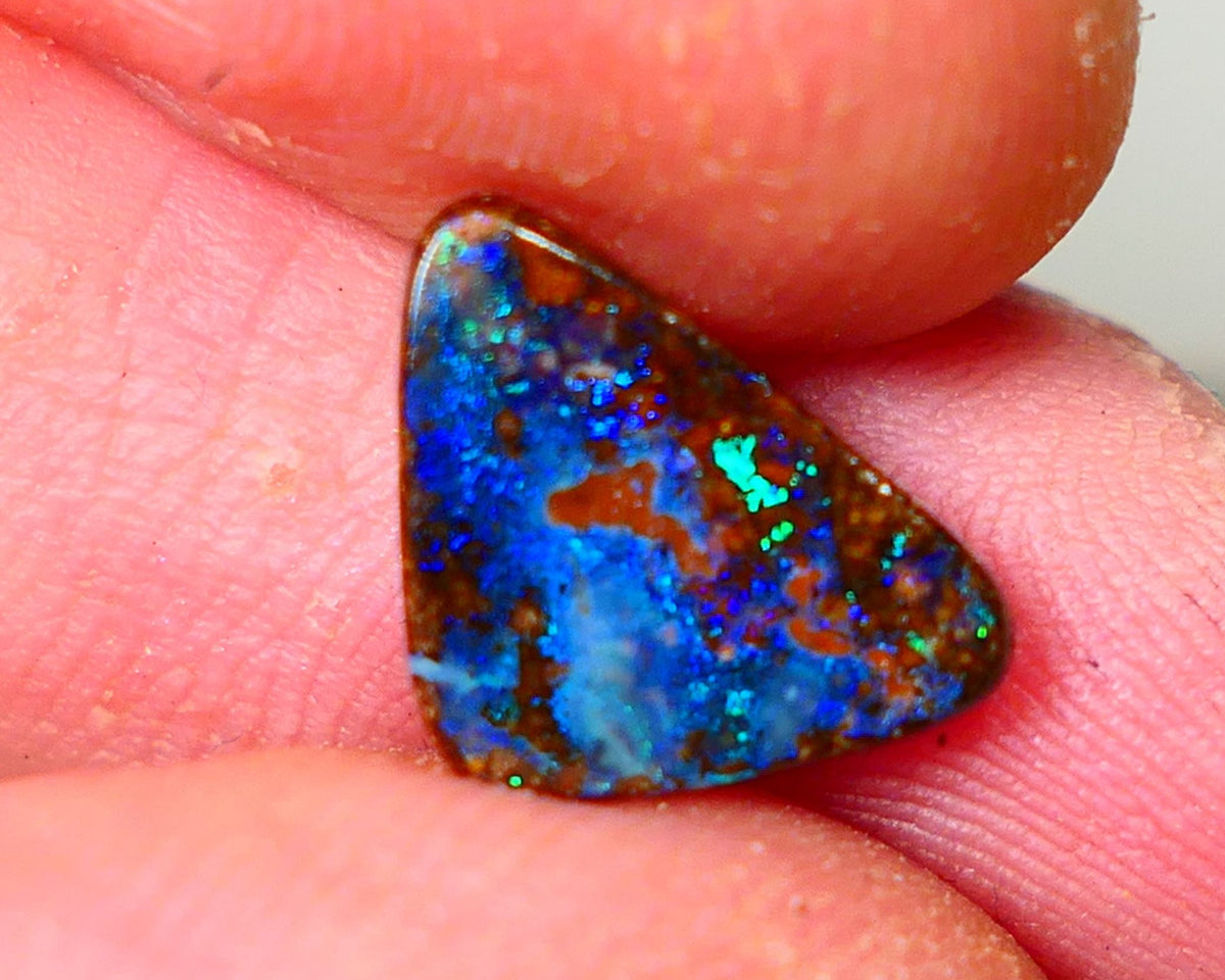 Queensland Boulder opal Polished Gemstone cts  Winton Bright Blue/Green fires showing Weekly Deal 2