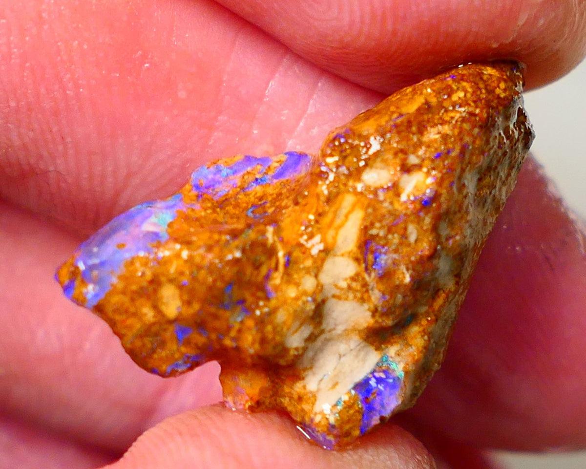 Queensland Sandy Ironstone Boulder opal nodule Showing lots of Bright Blue colours ALP0