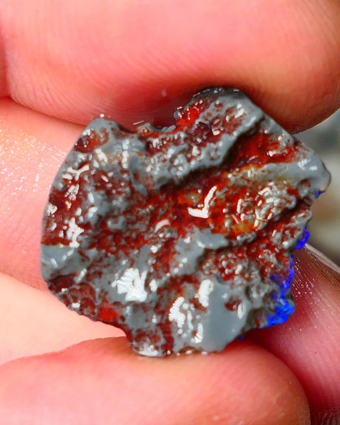 Lightning Ridge Knobby opal rough showing nice bright colours details to come 10.50cts 22x19x6mm ALP105