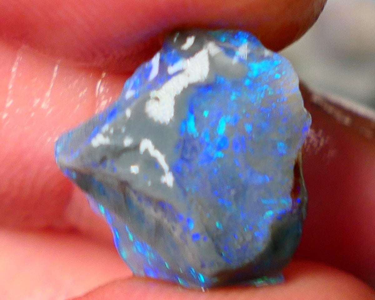 Lightning Ridge Knobby opal rough showing nice bright colours details to come 7.00cts 16x15x7mm ALP107