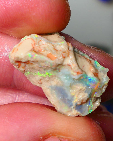 Lightning Ridge Seam opal formation rough showing nice bright Multi colours 11.00cts 23x15x7mm  ALP110