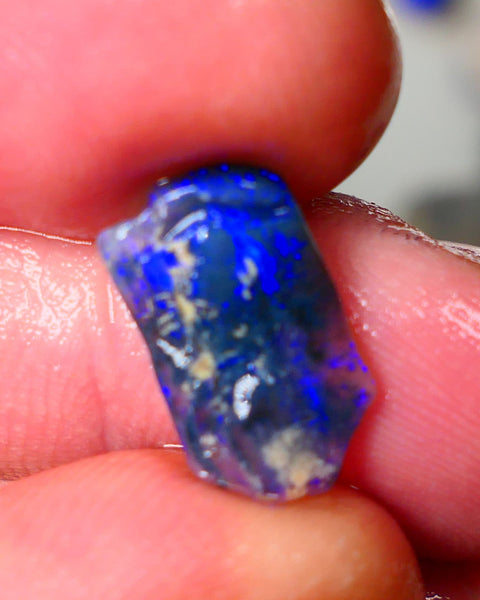 Lightning Ridge Black Crystal Opalised Wood Fossil 2.50cts gorgeous bright blue fires 15x8x3mm Auction27