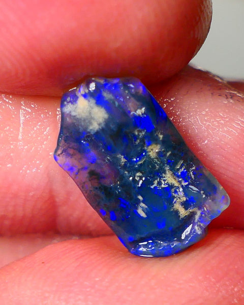 Lightning Ridge Black Crystal Opalised Wood Fossil 2.50cts gorgeous bright blue fires 15x8x3mm Auction27