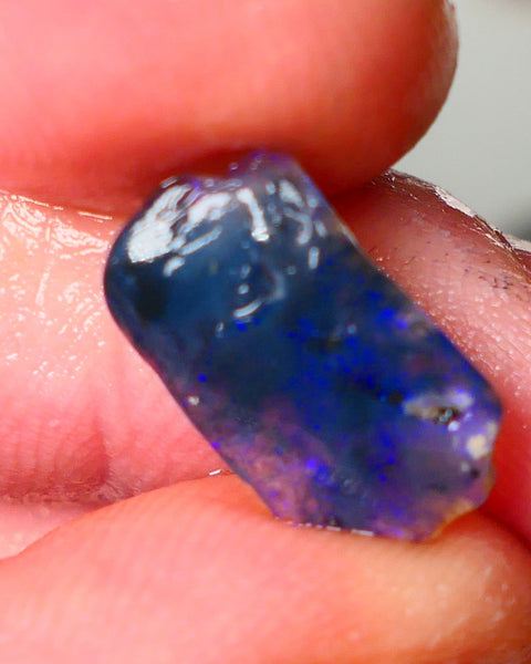 Lightning Ridge Black Crystal Opalised Wood Fossil 2.50cts gorgeous bright blue fires 15x8x3mm Auction27