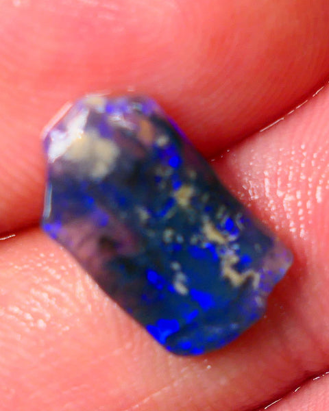 Lightning Ridge Black Crystal Opalised Wood Fossil 2.50cts gorgeous bright blue fires 15x8x3mm Auction27