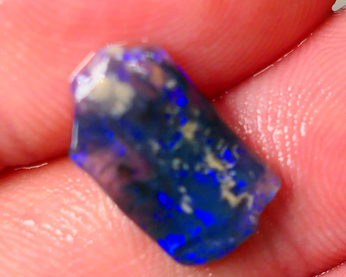 Lightning Ridge Black Crystal Opalised Wood Fossil 2.50cts gorgeous bright blue fires 15x8x3mm Auction27