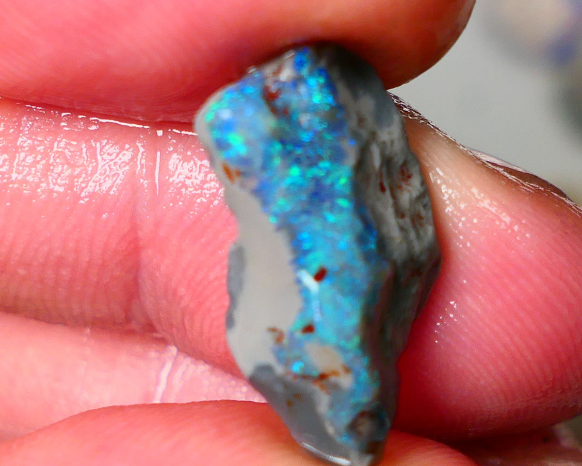 Lightning Ridge Dark base Seam opal 5.50cts showing Blue/Green colours to gamble 21x9x5mm AUCTION29