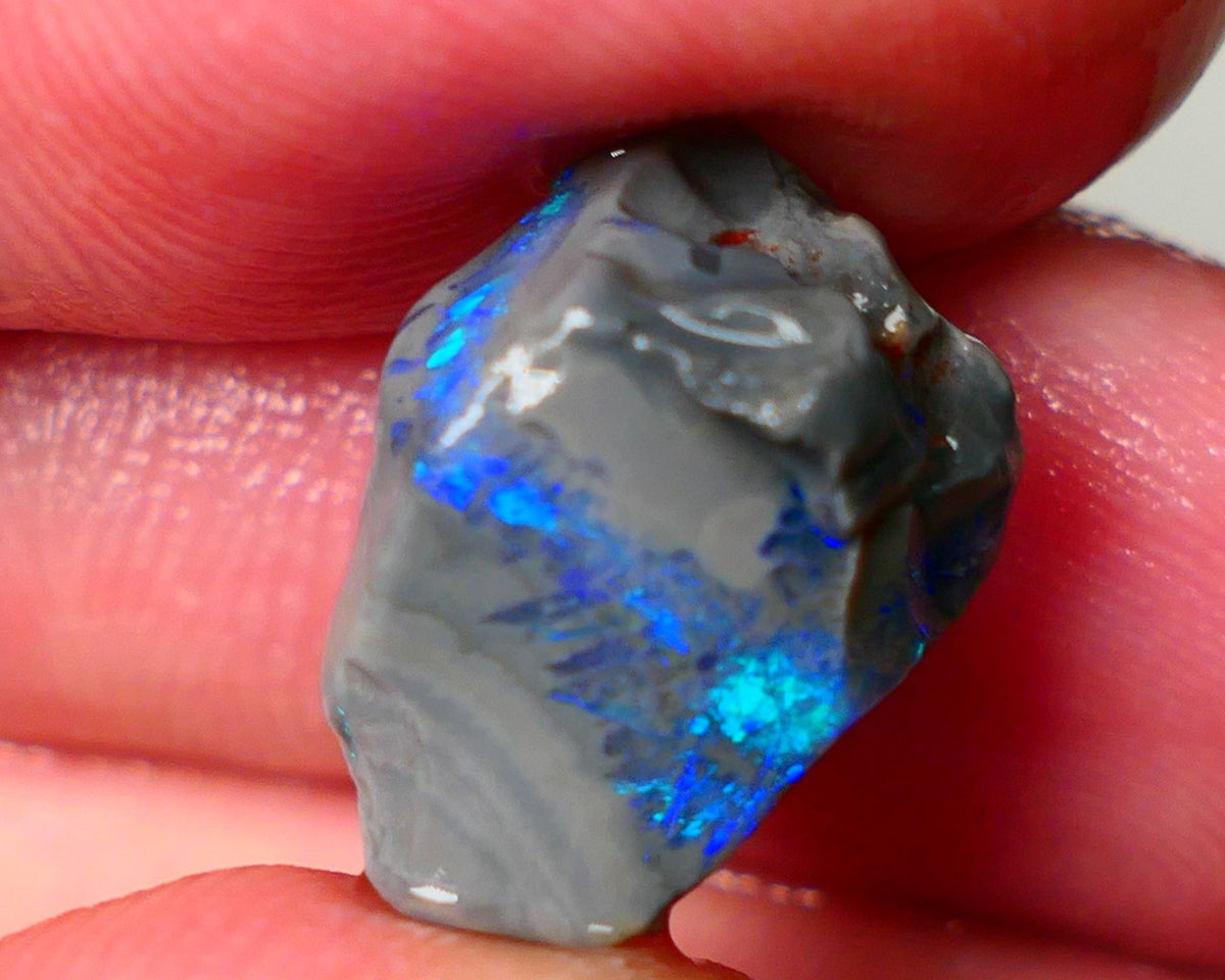 Lightning Ridge Seam opal rough showing nice bright colours details to come 6.50cts 18x13x7mm ALP109