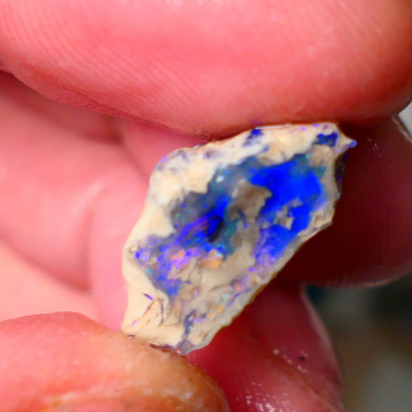 Lightning Ridge Knobby opal rough showing nice bright colours details to come 11.50cts 19x14x9mm ALP103