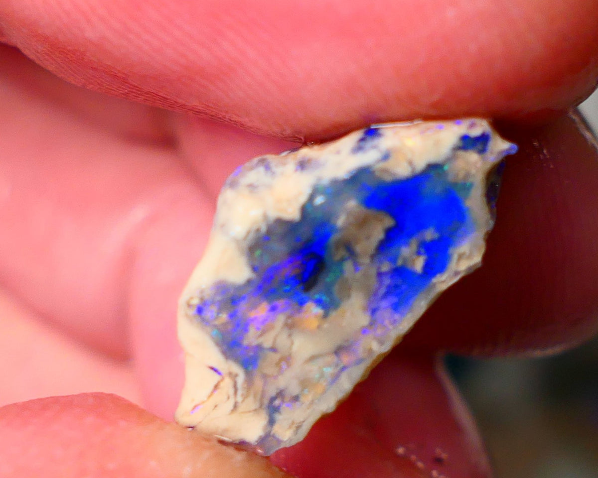 Lightning Ridge Knobby opal rough showing nice bright colours details to come 11.50cts 19x14x9mm ALP103