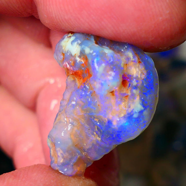 Lightning Ridge Knobby opal rough showing nice bright colours details to come 22.00cts 26x20x10mm  ALP102