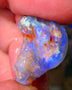 Lightning Ridge Knobby opal rough showing nice bright colours details to come 22.00cts 26x20x10mm  ALP102