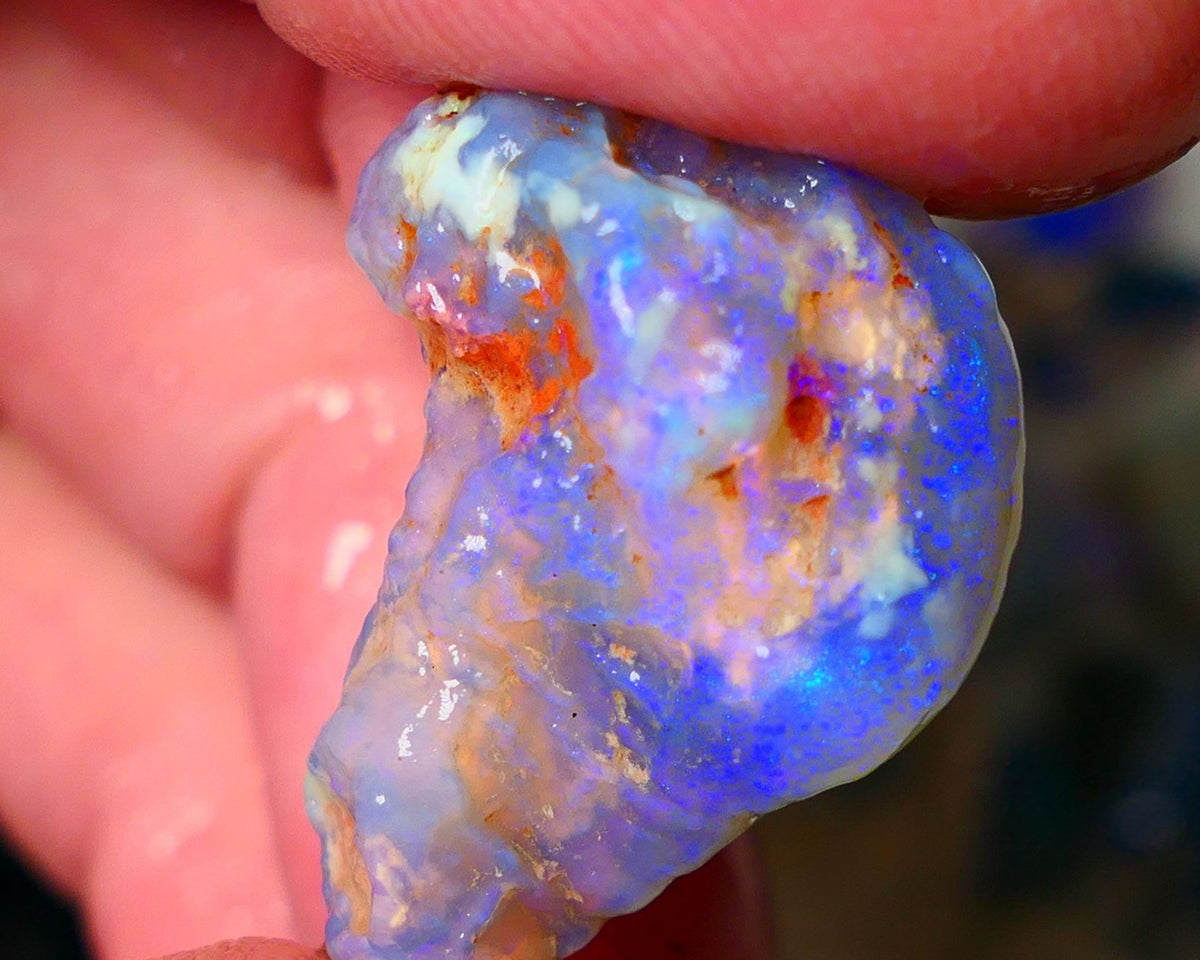 Lightning Ridge Knobby opal rough showing nice bright colours details to come 22.00cts 26x20x10mm  ALP102