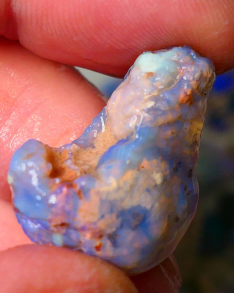 Lightning Ridge Knobby opal rough showing nice bright colours details to come 22.00cts 26x20x10mm  ALP102