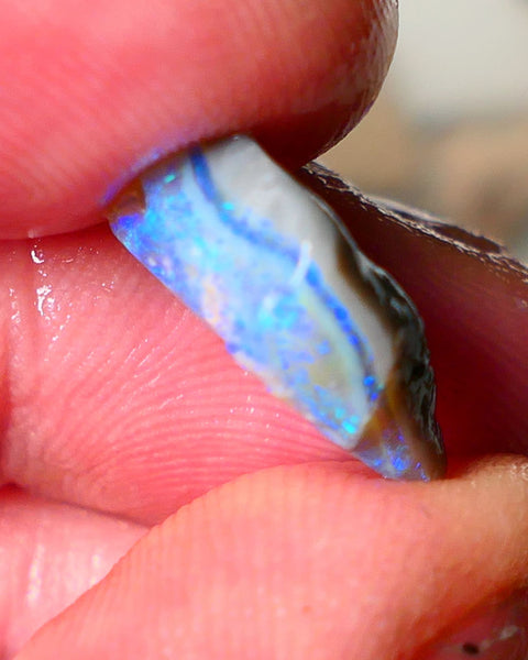 Lightning Ridge Seam opal rough 5.50cts showing nice bright blue colours 17x10x4mm ALP124