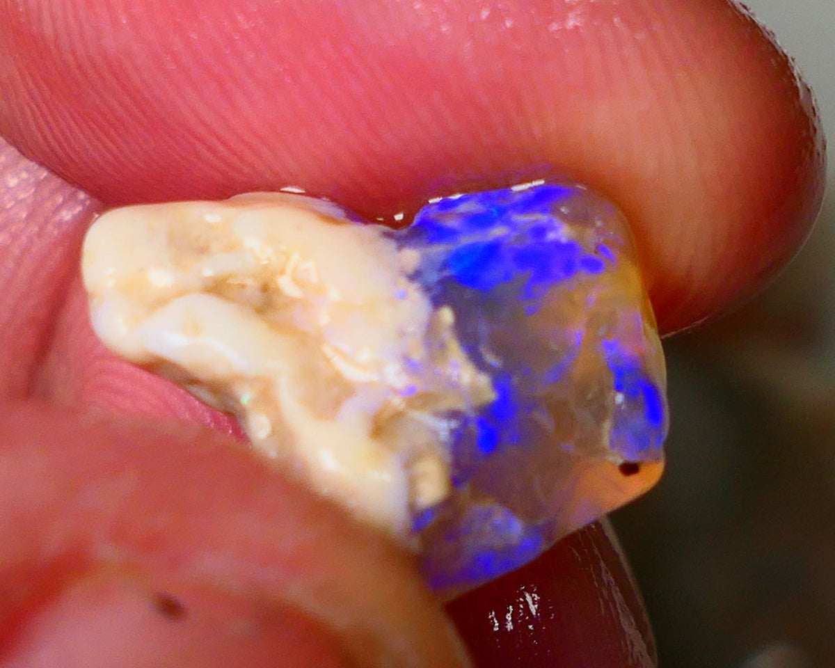 Lightning Ridge Knobby opal formation rough showing nice bright blue colours 8.50cts 18x13x9mm ALP119