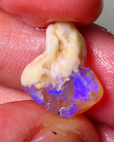 Lightning Ridge Knobby opal formation rough showing nice bright blue colours 8.50cts 18x13x9mm ALP119