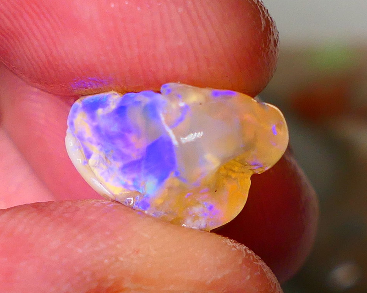 Lightning Ridge Knobby opal formation rough showing nice bright blue colours 8.50cts 18x13x9mm ALP119