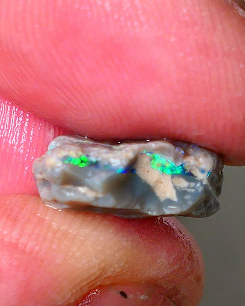 Lightning Ridge Seam opal rough 6.05cts showing Gemmy Very bright consistent flt bar with multi colours to cut worth a gamble on this one cut a gem 16x12x6mm ALP117