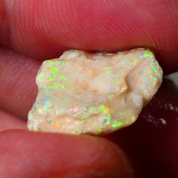 Lightning Ridge Gamble Knobby opal formation rough showing Very bright Yellow dominant Multi colours 7.00cts 20x13x5mm ALP116