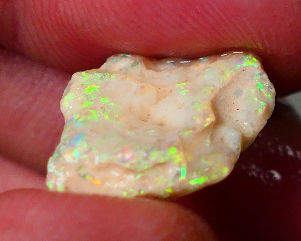 Lightning Ridge Gamble Knobby opal formation rough showing Very bright Yellow dominant Multi colours 7.00cts 20x13x5mm ALP116