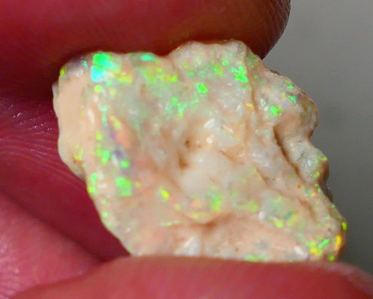 Lightning Ridge Gamble Knobby opal formation rough showing Very bright Yellow dominant Multi colours 7.00cts 20x13x5mm ALP116