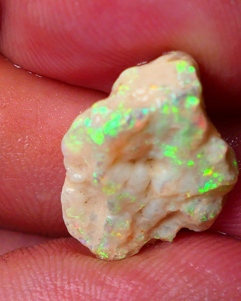 Lightning Ridge Gamble Knobby opal formation rough showing Very bright Yellow dominant Multi colours 7.00cts 20x13x5mm ALP116