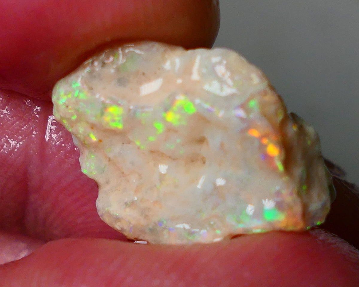 Lightning Ridge Gamble Knobby opal formation rough showing Very bright Yellow dominant Multi colours 7.00cts 20x13x5mm ALP116