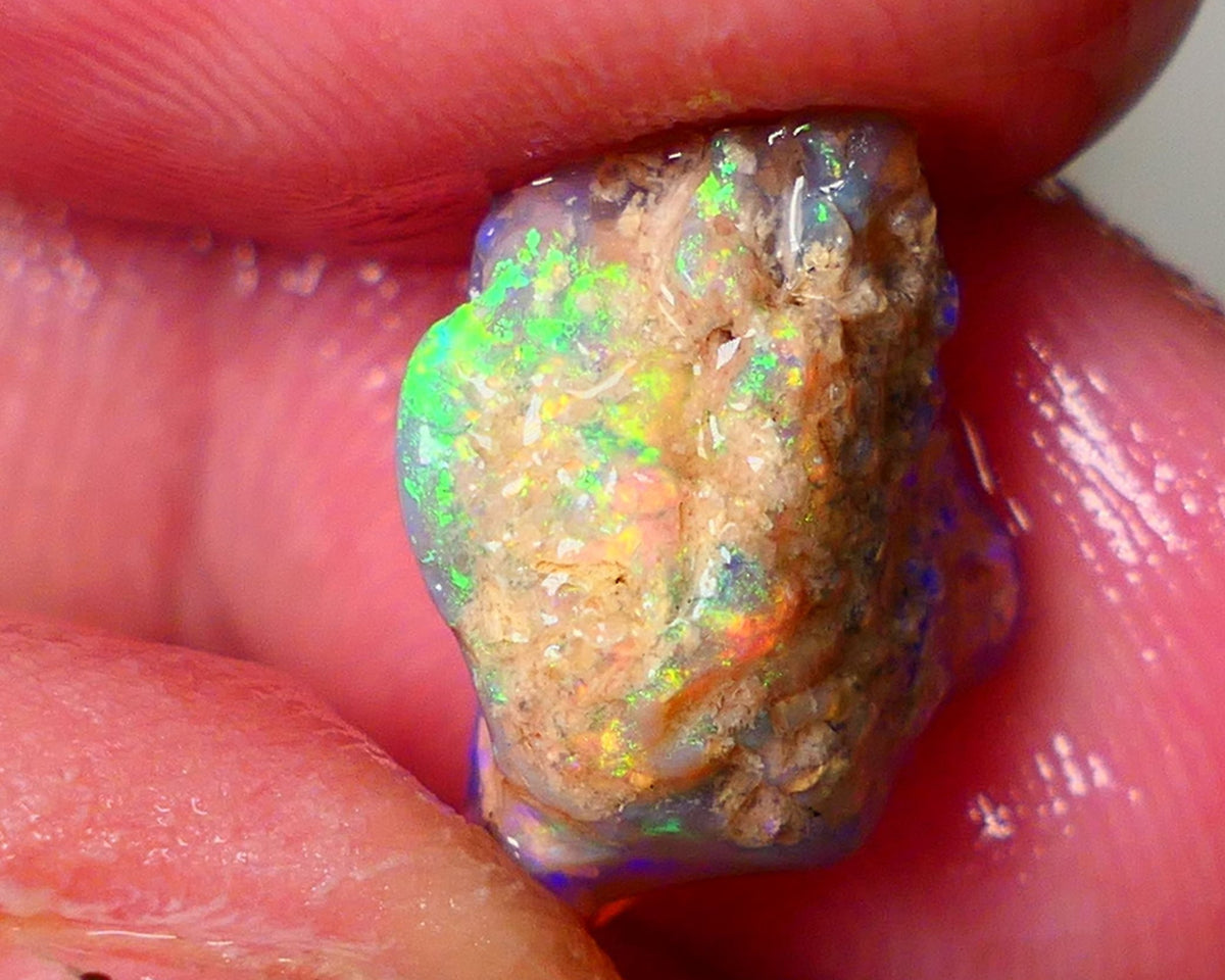 Lightning Ridge Gamble Knobby opal rough showing Very bright Multi colours 6.00cts 16x11x7mm  ALP114