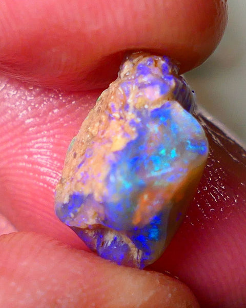 Lightning Ridge Gamble Knobby opal rough showing Very bright Multi colours 6.00cts 16x11x7mm  ALP114