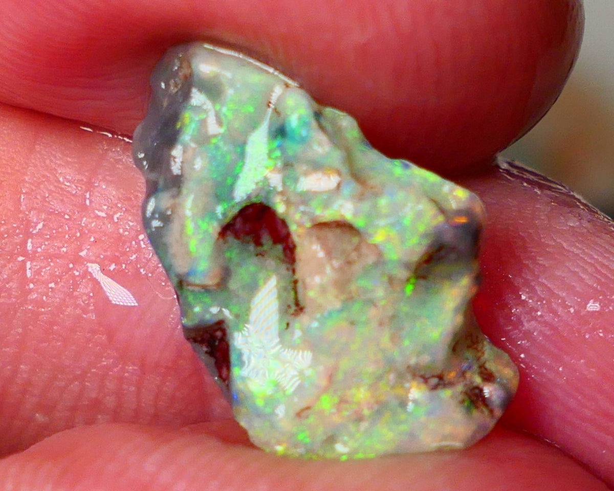 Lightning Ridge Gamble opal rough showing nice bright colours  3.50cts 18x11x4mm ALP111