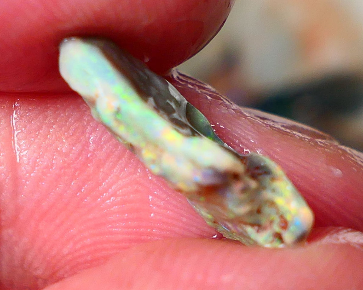 Lightning Ridge Gamble opal rough showing nice bright colours  3.50cts 18x11x4mm ALP111