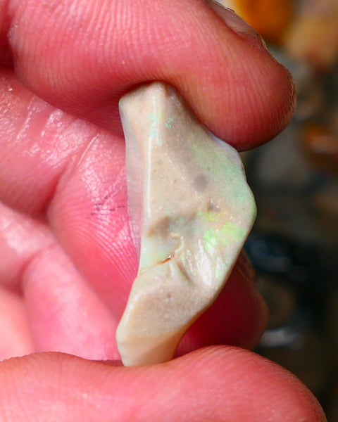 Lightning Ridge Grey base Seam opal 16.00cts showing Mostly Green colours to gamble 26x12x10mm Auction25