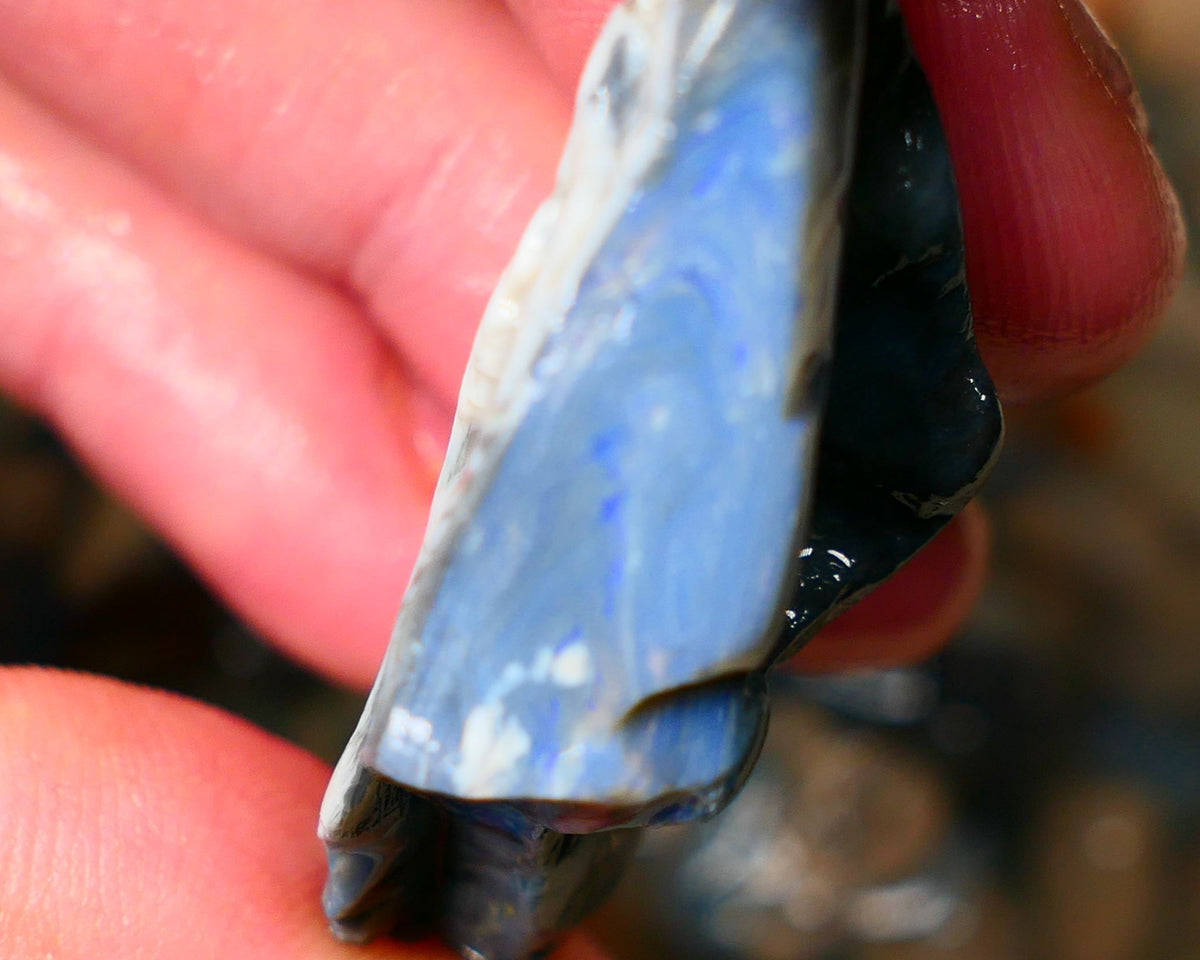 Big Size Lightning Ridge Black Seam opal 68cts showing some flashes of blues colours to gamble 43x26x14mm Auction24