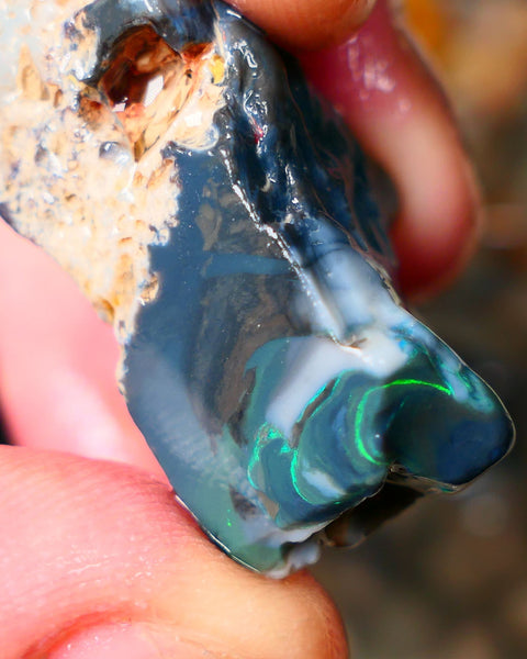 Big Size Lightning Ridge Black Seam opal 46cts Displaying Gorgeous Bands of Green Fires 35x18x15mm Auction23