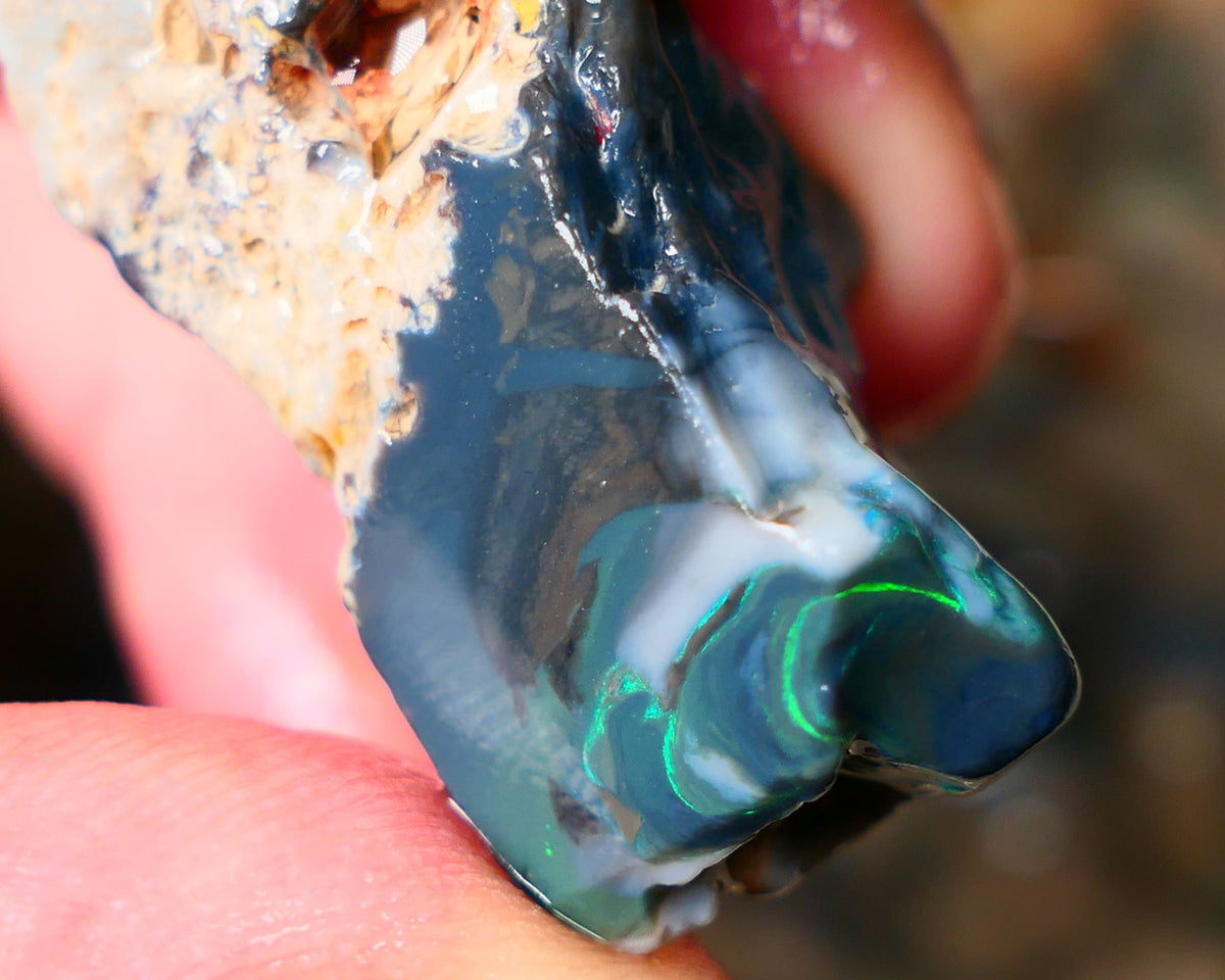 Big Size Lightning Ridge Black Seam opal 46cts Displaying Gorgeous Bands of Green Fires 35x18x15mm Auction23