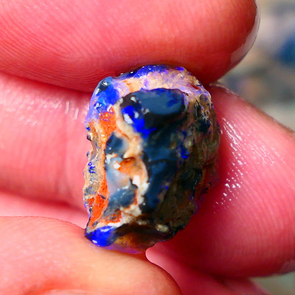 Lightning Ridge Gamble knobby opal rough showing nice bright Blue colours 17x13x9mm ALP130