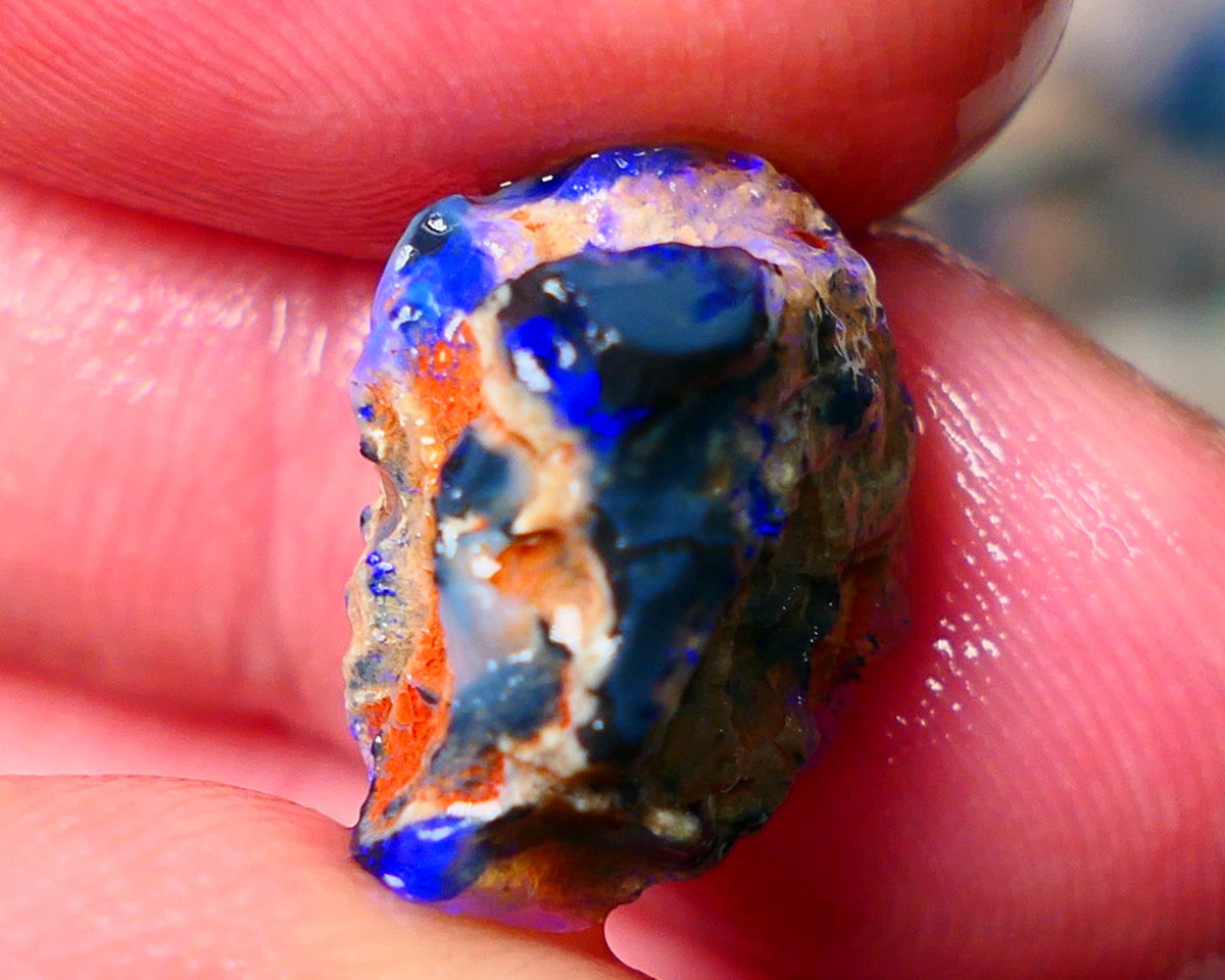 Lightning Ridge Gamble knobby opal rough showing nice bright Blue colours 17x13x9mm ALP130