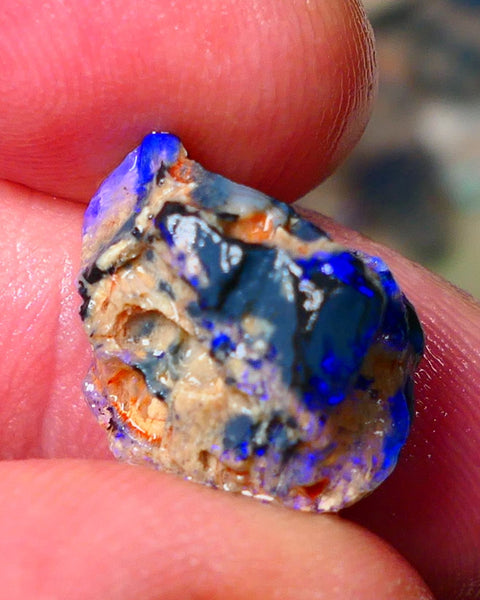 Lightning Ridge Gamble knobby opal rough showing nice bright Blue colours 17x13x9mm ALP130