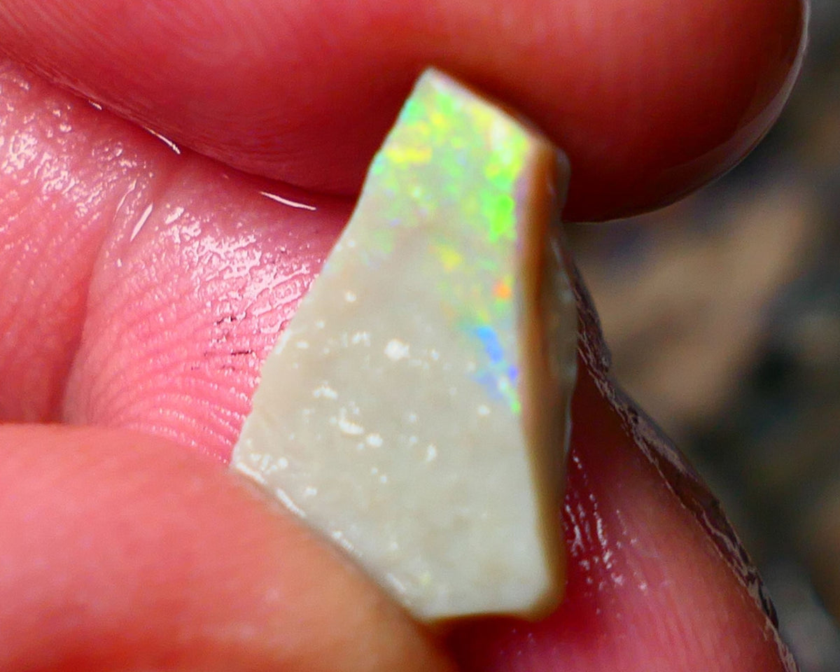 Lightning Ridge Gamble Seam opal rough 3.25cts Displaying  Vibrant & bright Multi colours 15x10x3mm ALP132