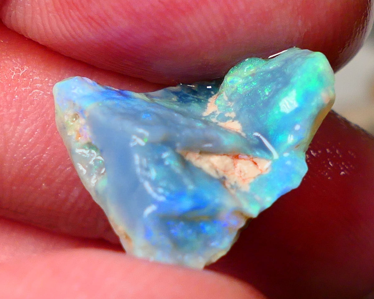 Lightning Ridge Gamble Dark base opal rough 9.75cts showing nice bright colours 18x17x8mm ALP134