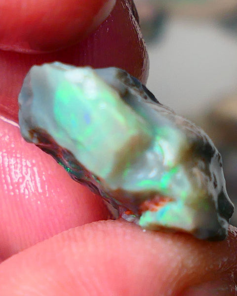 Lightning Ridge Knobby opal rough 15.50cts showing nice bright Multi colours 21x19x8mm ALP135