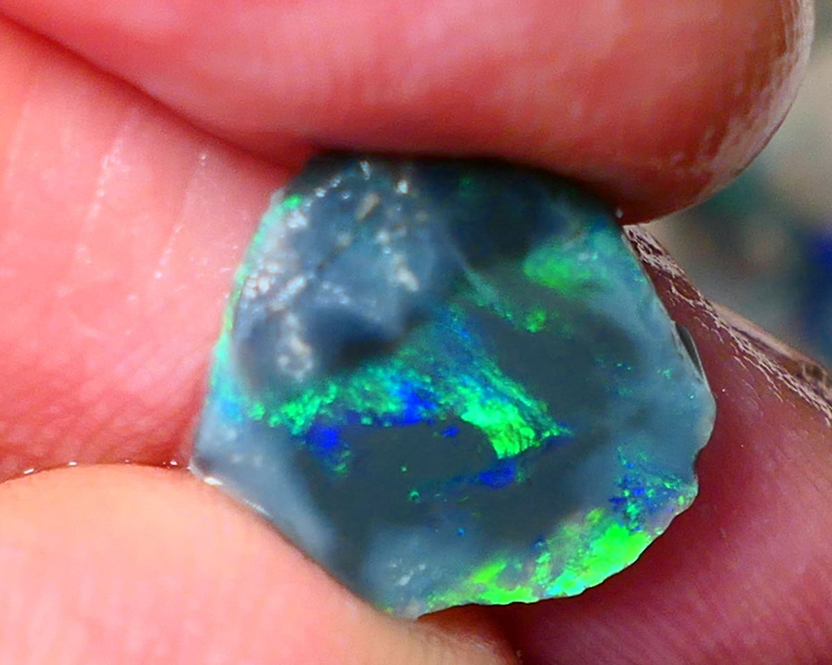 Lightning Ridge Black opal Rub rough 2.65cts showing nice bright Multi colours 14x13x2mm ALP142