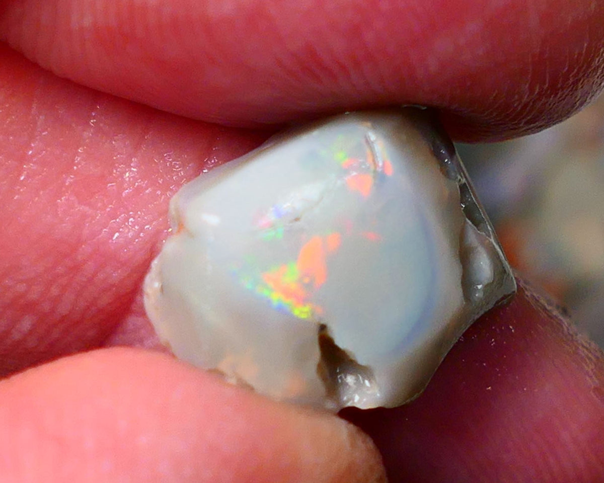 Lightning Ridge Gamble opal rough rub 7.50cts showing nice bright Multi colours 15x12x7mm ALP143