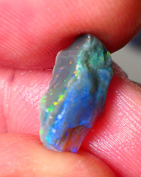 Lightning Ridge Gamble opal rough showing nice bright colours details to come cts ALP1xx