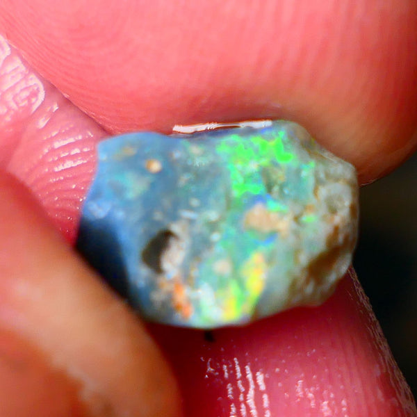 Lightning Ridge Gamble opal rough 2.60cts showing Gorgeous bright Multi colours 11x9x4mm ALP152