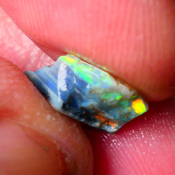 Lightning Ridge Gamble opal rough 2.60cts showing Gorgeous bright Multi colours 11x9x4mm ALP152