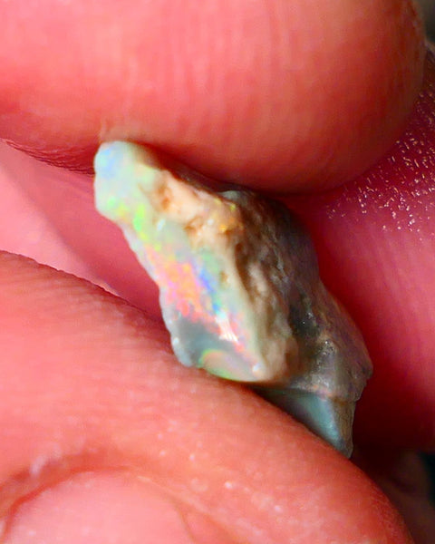 Lightning Ridge Gamble opal rough showing some bright Reds/Orange/Yellow details to come cts ALP1xx