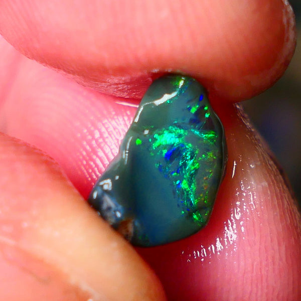 Lightning Ridge small Black opal rub rough Displaying bright Multi colours 11x7x4mm ALP151