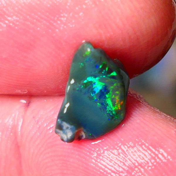 Lightning Ridge small Black opal rub rough Displaying bright Multi colours 11x7x4mm ALP151